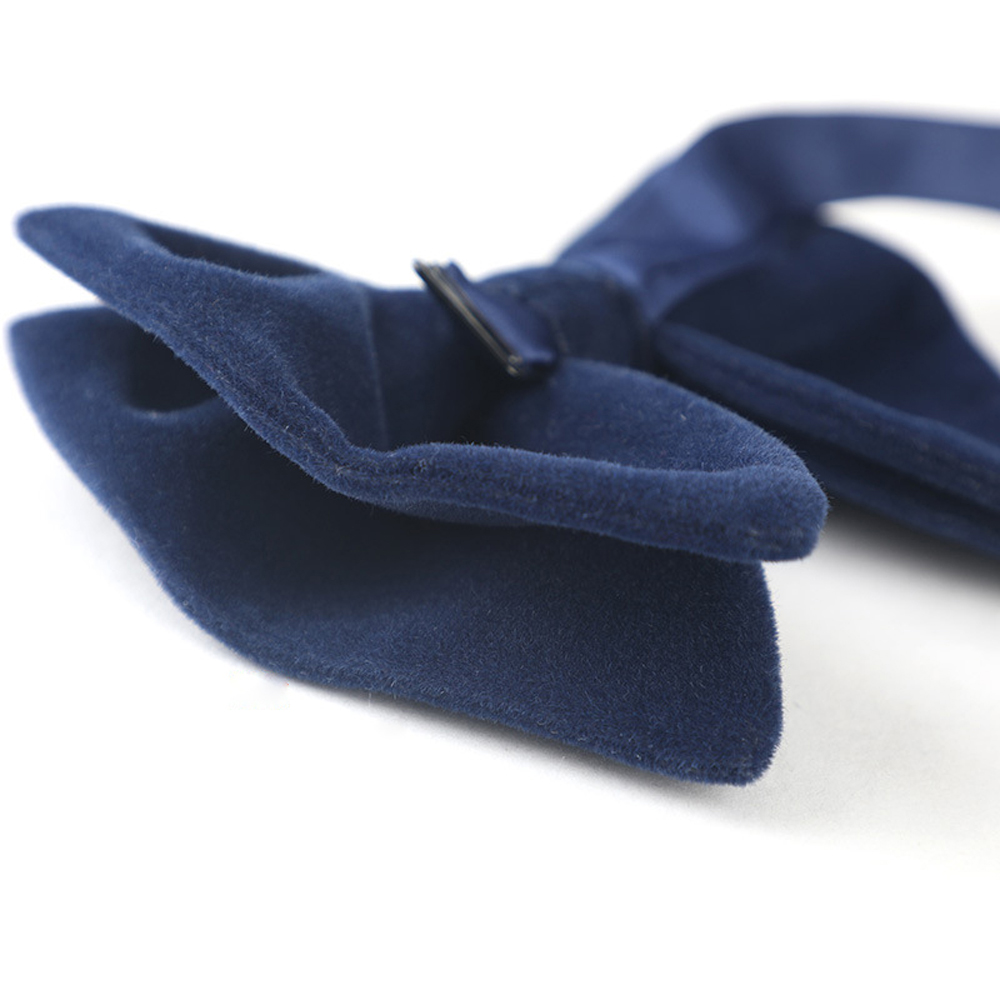 Accesorios de ropa Formal sóli - Women'S Formal Wear Accessories reseña y precio